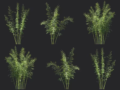 Various Green Bamboo Plants With Different Growth Forms And Lush Leaves 3d model