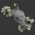 Green Cactus Plant With Multiple Branches And White Flowers On Gray Background