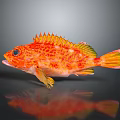 Colorful Red Orange Spotted Fish With Spiky Fins Blue Eyes And Vibrant Scales