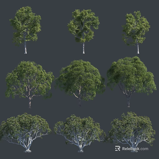 Various Arbor Trees Displaying Lush Green Foliage And Diverse Canopy Shapes 3d model