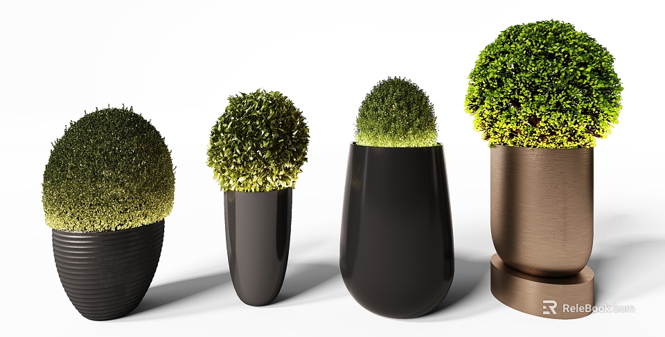 Modern Bonsai Potted Plants With Round Green Foliage And Various Stylish Containers 3d model 