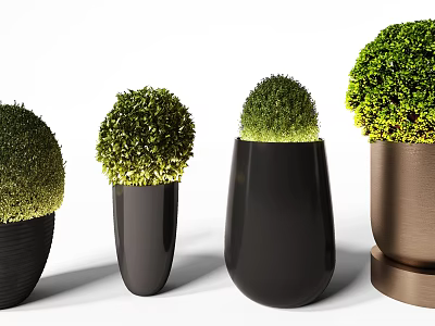 Modern Bonsai Potted Plants With Round Green Foliage And Various Stylish Containers 3d model