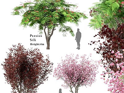 Ornamental Garden Trees Featuring Prunus Silk Hightem Green Foliage Deep Red Leaves and Pink Blossoms 3d model