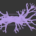 Decorative Ornament Set with Tree Root Inspired Twisted Branches on White Square Metal Stand Base