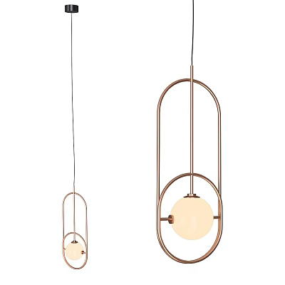 Modern Elegant Pendant Lights With Brass Geometric Frame And Circular Globe Shade Design 3d model