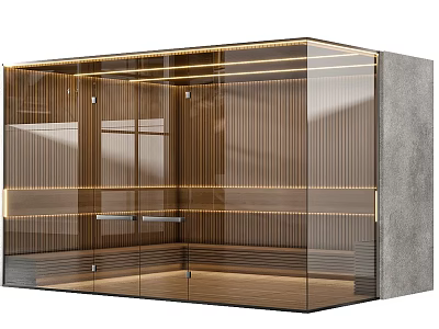 Modern Bathroom Interior Design With Glass Partition LED Lighting And Wooden Flooring 3d model