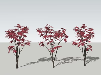 Three Red Leaf Arbor Trees With Vibrant Red Foliage And Long Shadows 3d model