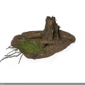 Modern Natural Scene With Tree Stump Green Plants And Moss Covered Ground