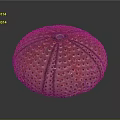 Round Orange Red Sea Urchin With Spiny Surface And Multiple Holes
