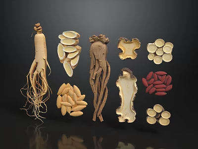 Traditional Chinese Herbal Medicines Including Ginseng Slices Roots And Seeds 3d model