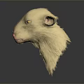 Light Colored Sheep Head With Yellow Eyes Pink Nose And Soft Fur On Gray Background