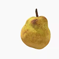 Fresh Ripe Pear with Yellowish Brown Skin Red Spots and Classic Pear Shape