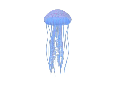 Blue Jellyfish Aquatic Animal With Translucent Umbrella Body And Long Flowing Tentacles 3d model