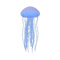 Marine organisms Jellyfish Aquatic animals Plankton Tingyellaria mantle jellyfish cross jellyfish cubic jellyfish 20162697 3d model