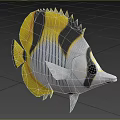 Vibrant Tropical Butterfly Fish With Yellow Black Stripes White Body And Pointed Snout