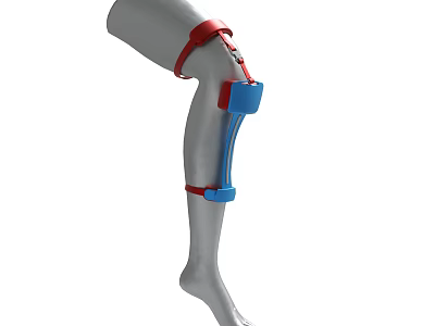 Adjustable Leg Brace With Red And Blue Straps For Orthopedic Support 3d model