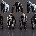 Different Poses Of Reptile Models On Shiny Reflective Surface