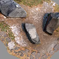 Rustic Stones And Wood Structures In Garden With Natural Ground Cover