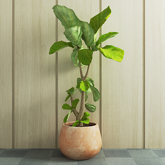 Modern potted green plant 3d model