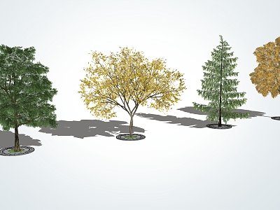 modern tree landscape tree arbor model