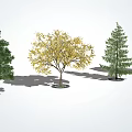modern tree landscape tree arbor 3d model