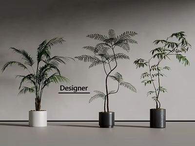Modern green plant potted plant bonsai 3d model