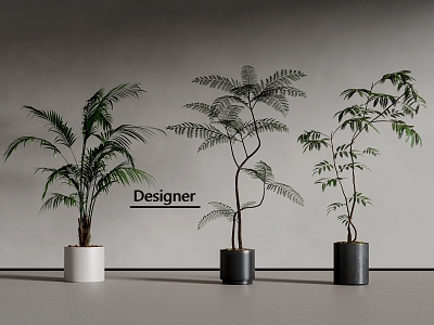 Modern green plant potted plant bonsai 3d model