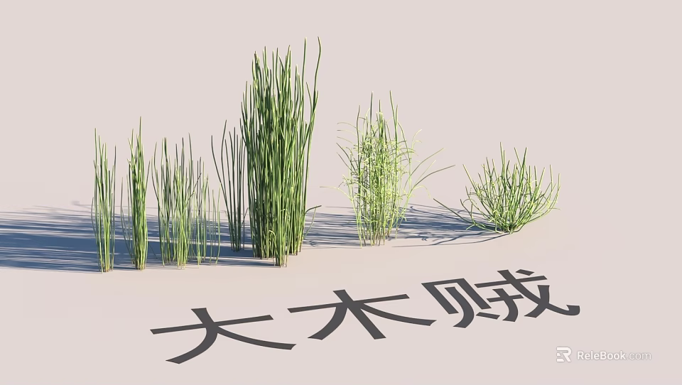 Serene Garden Landscape Design With Horsetail Plants And Various Green Grasses 3d model 