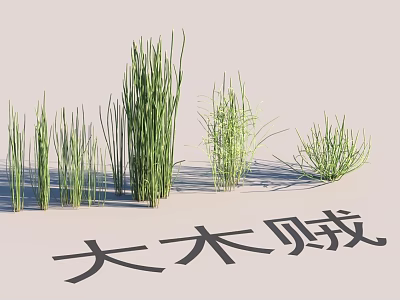 Serene Garden Landscape Design With Horsetail Plants And Various Green Grasses 3d model