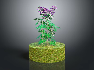 Decorative Plant With Green Leaves And Purple Flowers On Round Grassy Pedestal 3d model