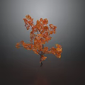 Beautiful Autumn Tree With Orange Leaves And Slender Trunk On Dark Background