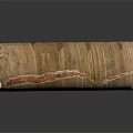 Weathered Wooden Log In Natural Scenery With Orange Crack And Textured Surface