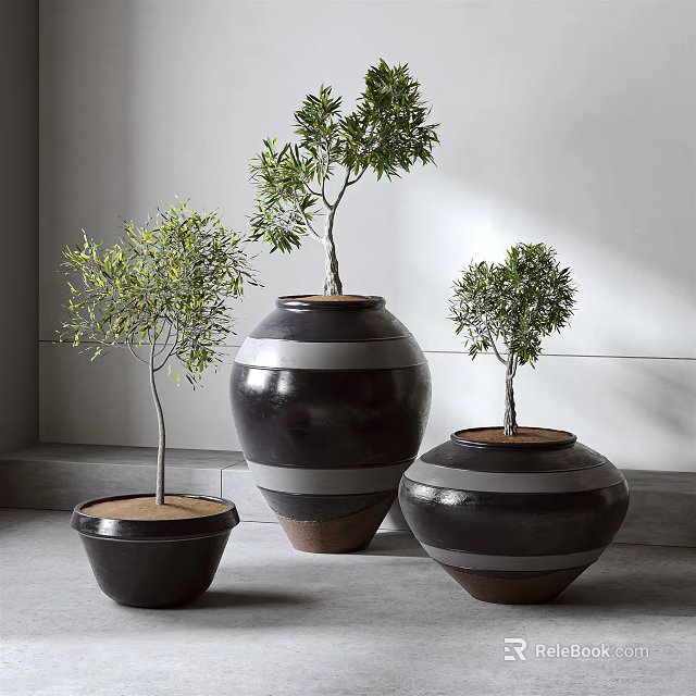 Three Bonsai Plants In Dark Ceramic Pots Of Different Sizes For Indoor Decor 3d model 