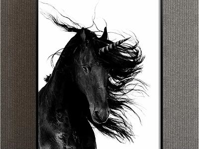 Black and White Unicorn Animal Painting with Flowing Mane in Framed Artwork Design 3d model