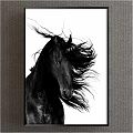 Black and White Unicorn Animal Painting with Flowing Mane in Framed Artwork Design