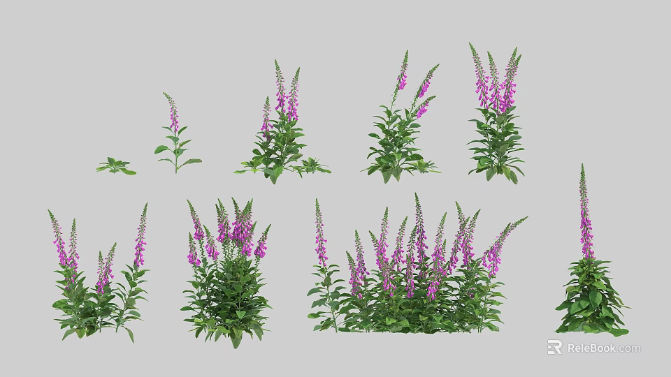 Purple Garden Flowers With Green Leaves And Fresh Blooms In Natural Arrangement 3d model 