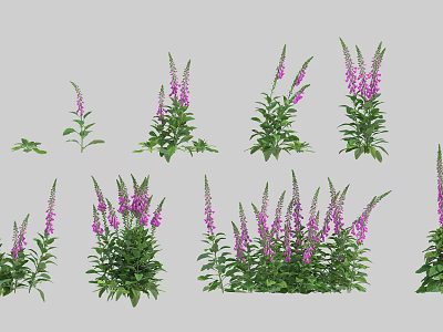 Purple Garden Flowers With Green Leaves And Fresh Blooms In Natural Arrangement 3d model