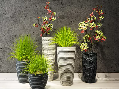 Stylish Bonsai Potted Plants with Various Patterned Pots Green Grass and Flowering Branches 3d model