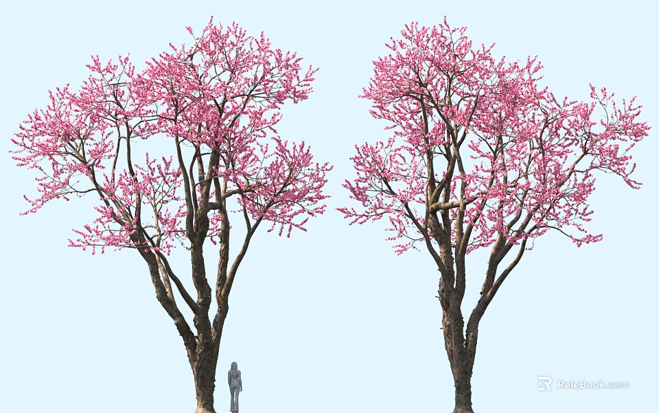 Fresh Spring Food Enjoyed Under Pink Flowering Trees With Person 3d model 