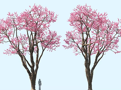 Fresh Spring Food Enjoyed Under Pink Flowering Trees With Person 3d model