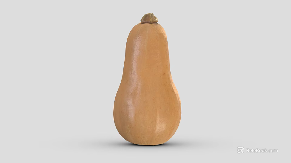 Ripe Orange Pear Shaped Butternut Squash Vegetable With Smooth Surface On Gray Background 3d model 