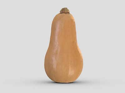 Ripe Orange Pear Shaped Butternut Squash Vegetable With Smooth Surface On Gray Background 3d model