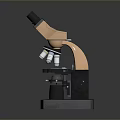 Household Binocular Microscope For Daily Use With Stable Base And Clear Structure