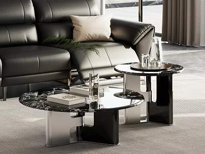 Two Coffee Tables With Black Leather Sofa Green Plant And Books In Living Room 3d model
