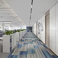 Modern Office Corridor Interior With Blue Gray Striped Carpet White Storage Cabinets And Green Plants