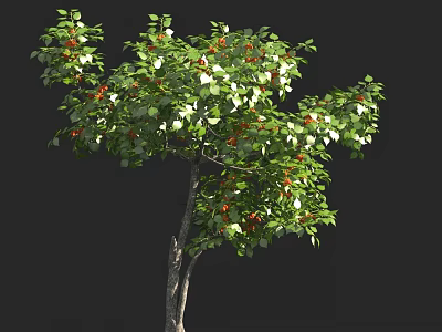 Lush Arbor With Green Leaves Red Fruits And Sturdy Trunk In Garden 3d model