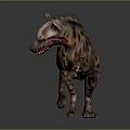 Realistic Hyena 3D Model as Game Movie Character With Detailed Fur Texture