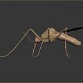 Golden Mosquito With Long Legs And Detailed Wings Displayed On Dark Background 3d model
