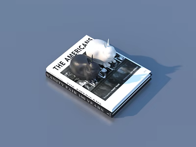 The American Book Featuring Black And White Architectural Images With Abstract Sculptures 3d model