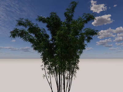 Tall Green Bamboo Plants Growing Under Clear Blue Sky With White Clouds 3d model